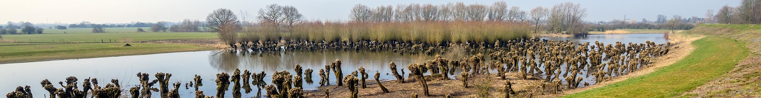 De Dijk Bewindvoering