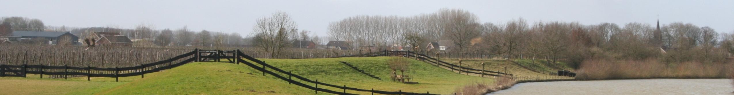 De Dijk Bewindvoering